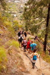 bioagaete-caminata-san-pedro-el-hornillo-0114