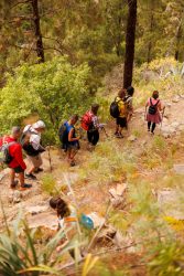 bioagaete-caminata-san-pedro-el-hornillo-0115