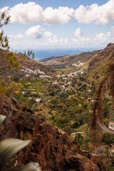 bioagaete-caminata-san-pedro-el-hornillo-0116