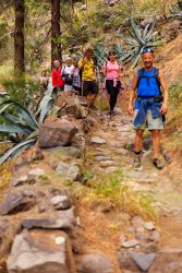 bioagaete-caminata-san-pedro-el-hornillo-0117