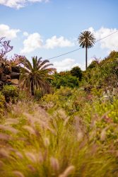 bioagaete-caminata-san-pedro-el-hornillo-0118