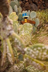 bioagaete-caminata-san-pedro-el-hornillo-0119