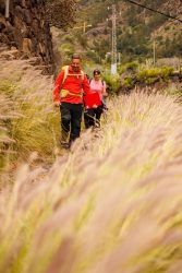 bioagaete-caminata-san-pedro-el-hornillo-0122