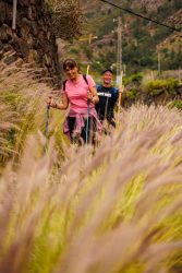 bioagaete-caminata-san-pedro-el-hornillo-0123