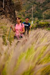 bioagaete-caminata-san-pedro-el-hornillo-0124