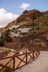 bioagaete-caminata-san-pedro-el-hornillo-0126