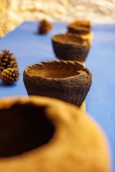 bioagaete-caminata-lugarejos-barranco-hondo-0011