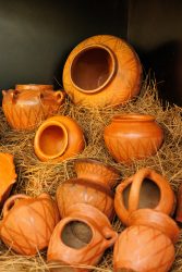 bioagaete-caminata-lugarejos-barranco-hondo-0023