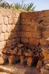 bioagaete-caminata-lugarejos-barranco-hondo-0031