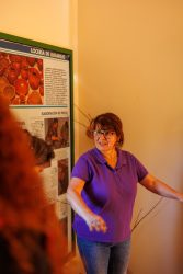 bioagaete-caminata-lugarejos-barranco-hondo-0035