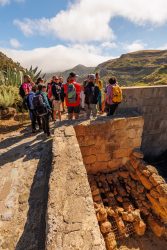 bioagaete-caminata-lugarejos-barranco-hondo-0048