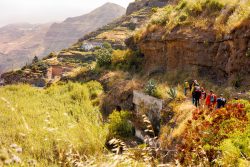 bioagaete-caminata-lugarejos-barranco-hondo-0053