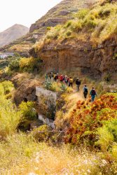 bioagaete-caminata-lugarejos-barranco-hondo-0054