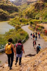 bioagaete-caminata-lugarejos-barranco-hondo-0061