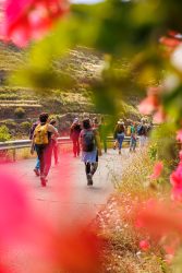 bioagaete-caminata-lugarejos-barranco-hondo-0063