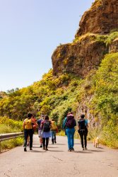 bioagaete-caminata-lugarejos-barranco-hondo-0064