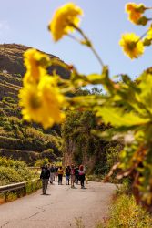 bioagaete-caminata-lugarejos-barranco-hondo-0066