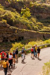 bioagaete-caminata-lugarejos-barranco-hondo-0067