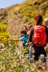 bioagaete-caminata-lugarejos-barranco-hondo-0069