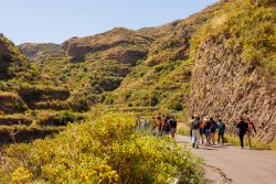 bioagaete-caminata-lugarejos-barranco-hondo-0071