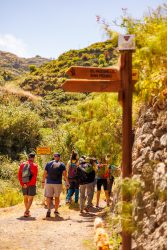 bioagaete-caminata-lugarejos-barranco-hondo-0074