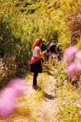 bioagaete-caminata-lugarejos-barranco-hondo-0078