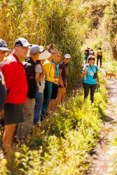 bioagaete-caminata-lugarejos-barranco-hondo-0079