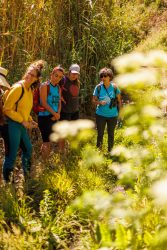 bioagaete-caminata-lugarejos-barranco-hondo-0082