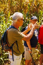 bioagaete-caminata-lugarejos-barranco-hondo-0084