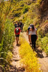 bioagaete-caminata-lugarejos-barranco-hondo-0085