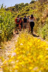 bioagaete-caminata-lugarejos-barranco-hondo-0086