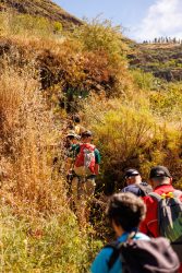 bioagaete-caminata-lugarejos-barranco-hondo-0088