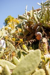 bioagaete-caminata-lugarejos-barranco-hondo-0091