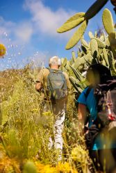 bioagaete-caminata-lugarejos-barranco-hondo-0092