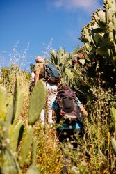 bioagaete-caminata-lugarejos-barranco-hondo-0093