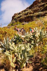 bioagaete-caminata-lugarejos-barranco-hondo-0095