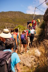 bioagaete-caminata-lugarejos-barranco-hondo-0110