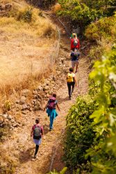 bioagaete-caminata-lugarejos-barranco-hondo-0112