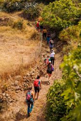 bioagaete-caminata-lugarejos-barranco-hondo-0113