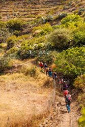 bioagaete-caminata-lugarejos-barranco-hondo-0114