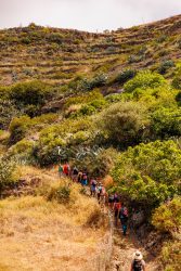 bioagaete-caminata-lugarejos-barranco-hondo-0115