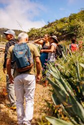 bioagaete-caminata-lugarejos-barranco-hondo-0116