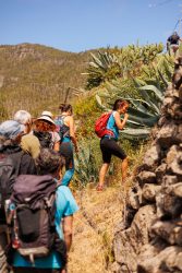 bioagaete-caminata-lugarejos-barranco-hondo-0117