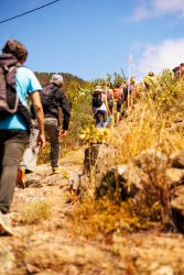 bioagaete-caminata-lugarejos-barranco-hondo-0119