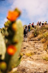 bioagaete-caminata-lugarejos-barranco-hondo-0120