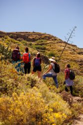 bioagaete-caminata-lugarejos-barranco-hondo-0127