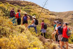 bioagaete-caminata-lugarejos-barranco-hondo-0128