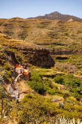 bioagaete-caminata-lugarejos-barranco-hondo-0129