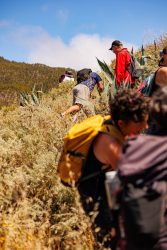 bioagaete-caminata-lugarejos-barranco-hondo-0130