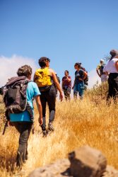 bioagaete-caminata-lugarejos-barranco-hondo-0132